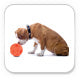 Omega Paw Tricky Treat Ball Treat & Food Dispensing Dog Toy