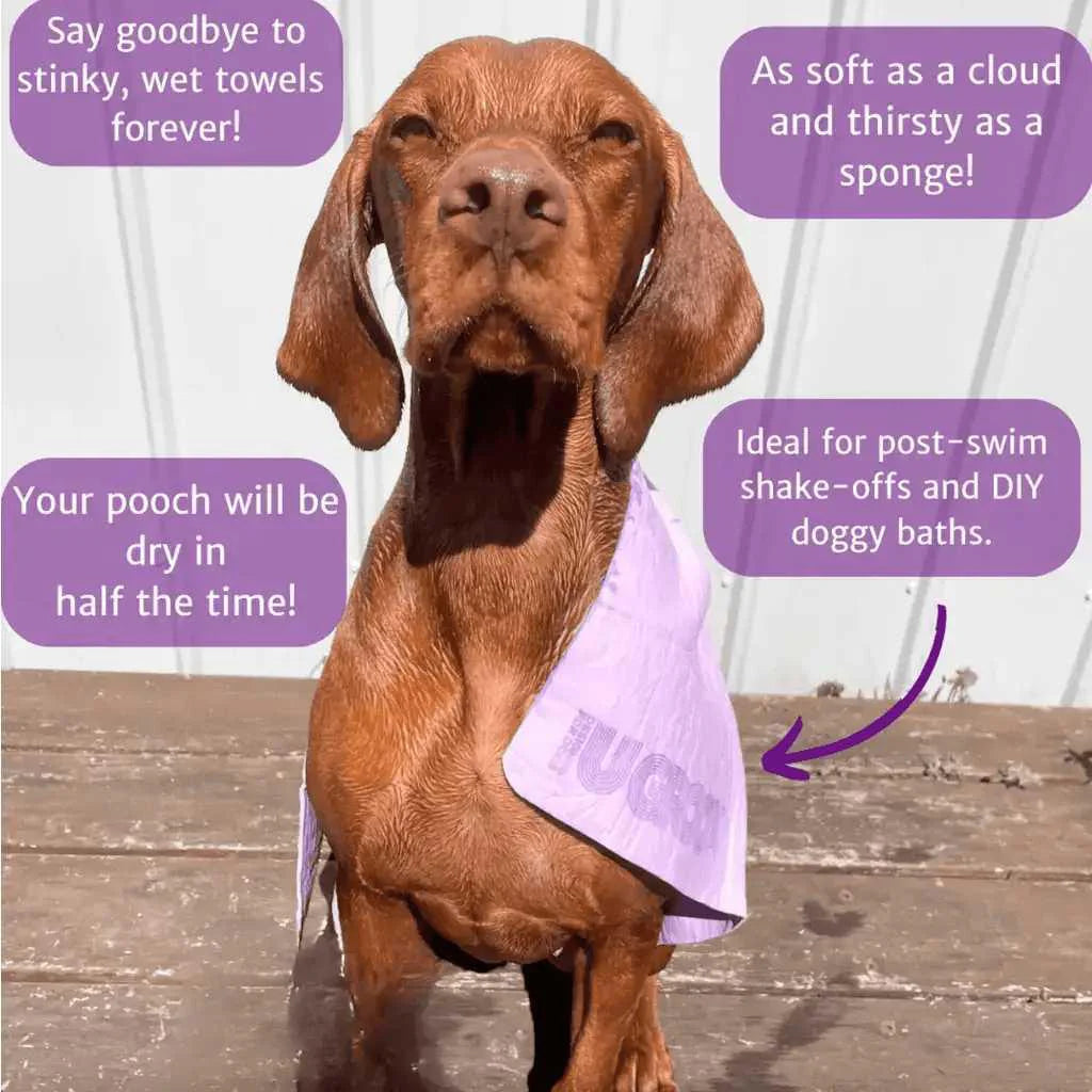 U Groom Grooming Kit..