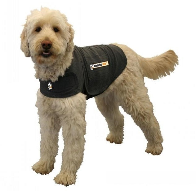 Thundershirt For Dogs